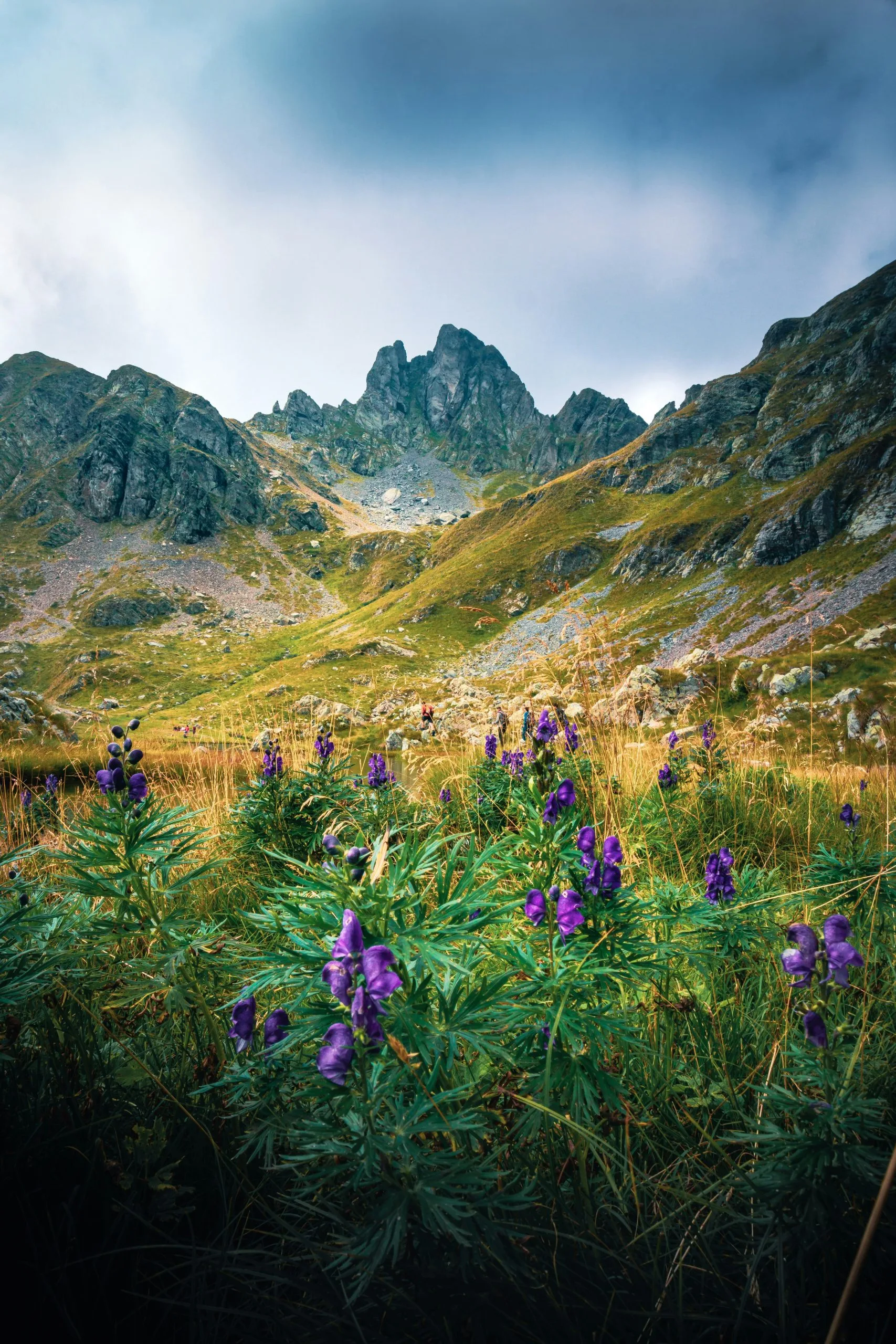 isaac maffeis zMEQ uE8gWc unsplash scaled